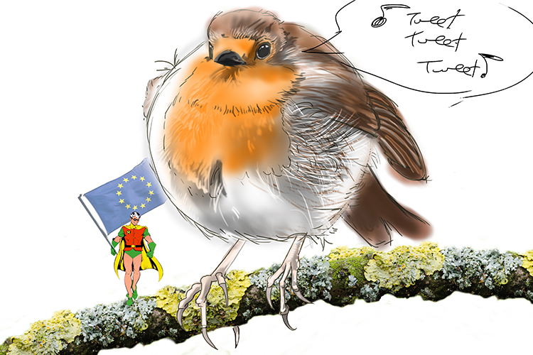 Image of a european robin bird and profile how to categorize it into the five sub categories